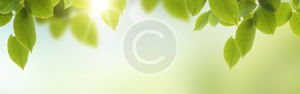 slider1_slide1.jpg